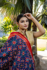 Double Ikat Patola Saree